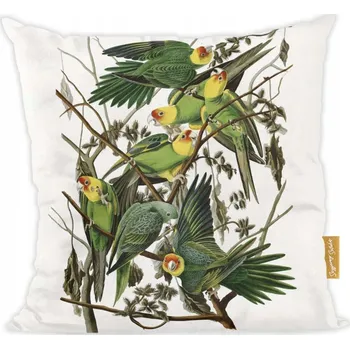 Polštář Polštář Carolina Parakeet James Audubon Umění