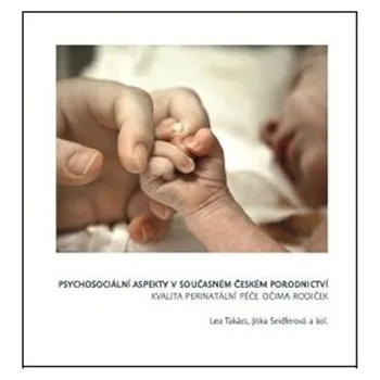 Psychosociální aspekty v současném českém porodnictví - Kvalita perinatální péče očima rodiček