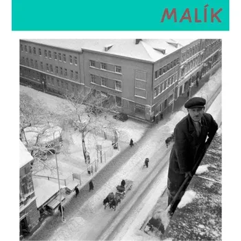 Cizojazyčná kniha Malík Viliam (slovensky)