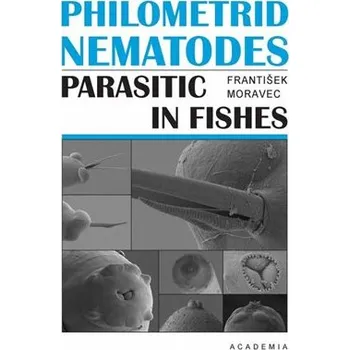 Umění Philometrid nematodes parasitic in fishes