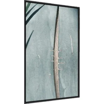 Obraz Plakát na zeď LIST Aloe Vera Příroda Květina 50x70