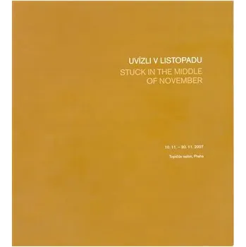 Umění Uvízli v listopadu/Stuck in the Middle of November