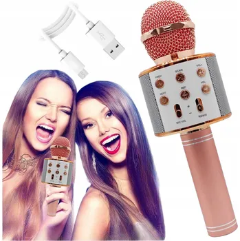 Mikrofon Mikrofon RONEBERG RONMIC 2022 Zpěvový mikrofon DÁREK k Den dětí