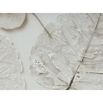 Bavlněná látka Listy velké