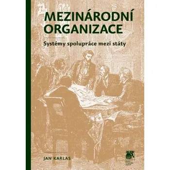 Mezinárodní organizace - Systémy spolupráce mezi státy