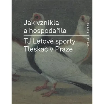 Jak vznikla a hospodařila TJ Letové sporty Tleskač v Praze