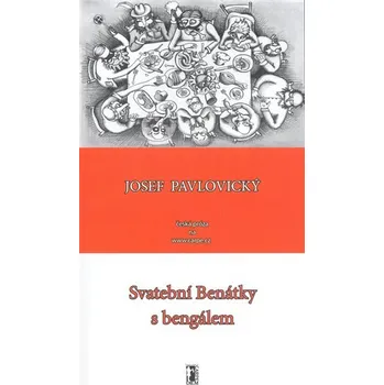 Svatební Benátky s bengálem