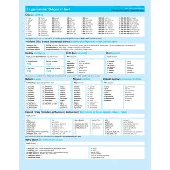 Česká gramatika v kostce - francouzská verze