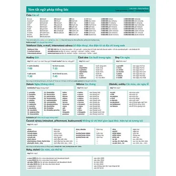 Cizojazyčná kniha Česká gramatika v kostce - vietnamská verze, 1. vydání