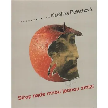 Poezie Strop nade mnou jednou zmizí