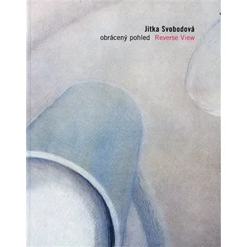 Umění Obrácený pohled / Reverse View 1995-2005