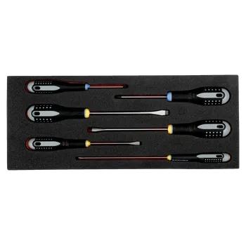 Dláto Bahco Pěnový modul s nářadím - 6 ks