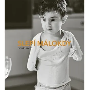 Umění Slepí málokdy