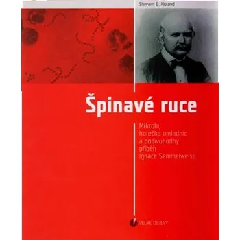 Špinavé ruce