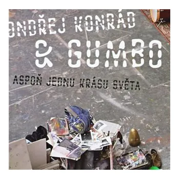 Česká hudba Aspoň jednu krásu světa - CD