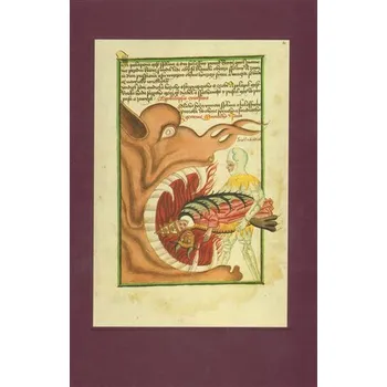 Umění The Jena Codex