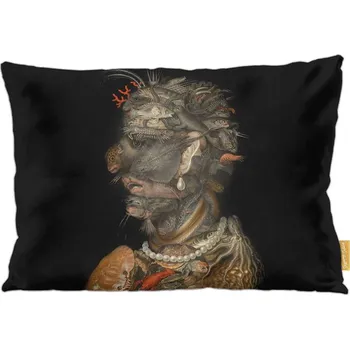 Polštář Polštář Voda Giuseppe Arcimboldo