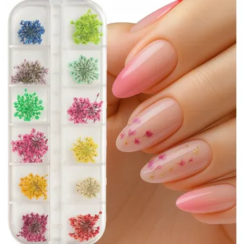 Přípravek na nehty Sada Sušených Květů na Nehty Ozdoby na Hybridní Manikúru 12 Barev Kazeta