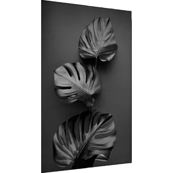 Obraz Plakát v Rámu Lesklé LISTY Monstera 50x70