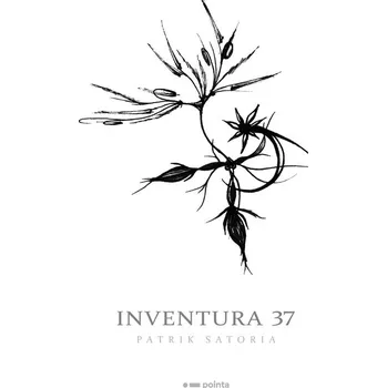 Poezie Inventura 37