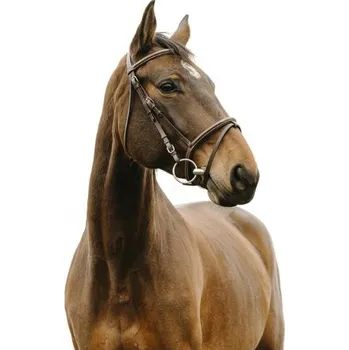 Uzdečka NORTON CLUB Deco s anglickým nánosníkem havana COB (DOPRODEJ)