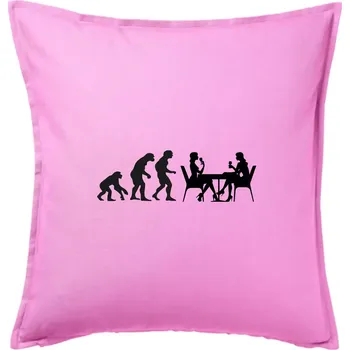 Polštář Evoluce vína ženy - Polštář 50x50 - 50x50 - Pouze potah ( Růžová )