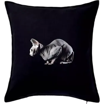 Polštář Kočka sphynx fotka - Polštář 50x50 - 50x50 - Pouze potah ( Černá )