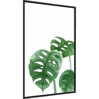 Obraz Plakát Malované LISTY Monstera Květ Dekor 50x70