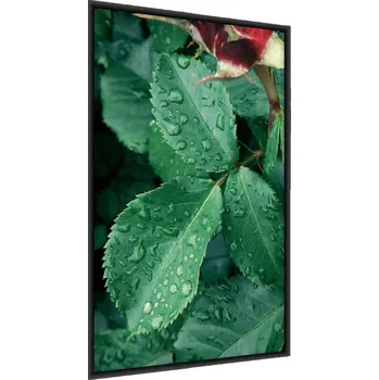 Obraz Plakát v rámu LISTY Kapky vody Příroda 3D 60x80