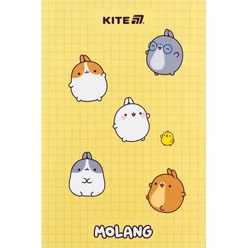 Zápisník Notes A5 Kite vícebarevný