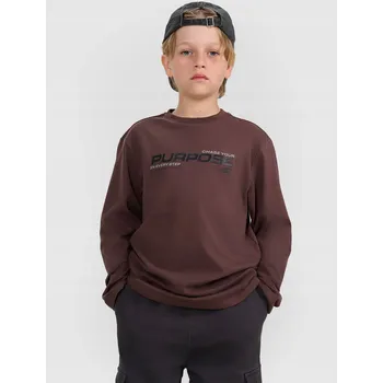 Dámské spodní prádlo Longlseeve regular s potiskem pro chlapce – hnědý