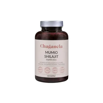 Přírodní produkt Chaganela Mumio Shilajit 120 cps.