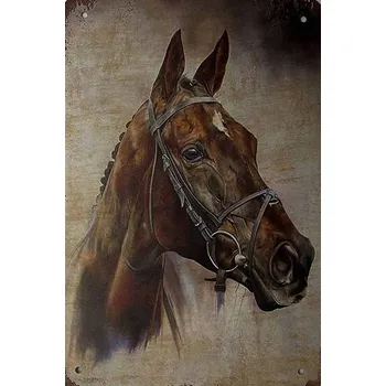 Obraz Plechová cedule Kůň