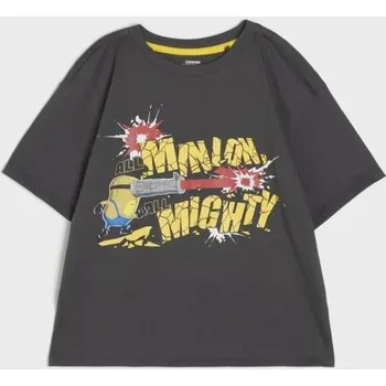 Sinsay - Tričko Spider-Man - šedá - 938BG-90X - 938BG-90X-110-1