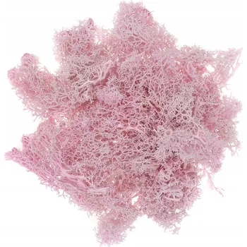 Obraz Dekorativní mech Dalprint růžový 30 g