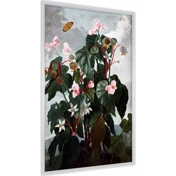 Obraz Plakát Květiny BEGONIE Listy Příroda Malba 50x70