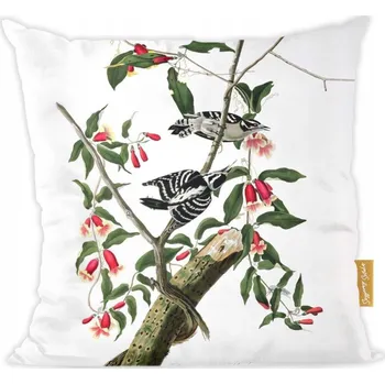 Polštář Polštář Datel James Audubon Umění