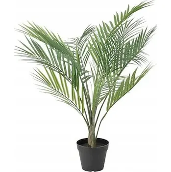umělá květina Ikea FEJKA Umělá rostlina Palma Areka, 12 cm