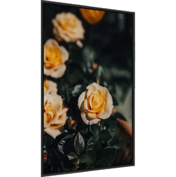 Obraz Plakát v rámu Žluté RŮŽE Květy 3D efekt 30x40