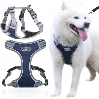 Postroj pro psa Postroj pro psy ASTRO, vycházkový a tréninkový, granátový, velikost L