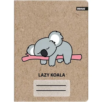 Sešit Sešit A5 s linkami Beniamin, 32 listů