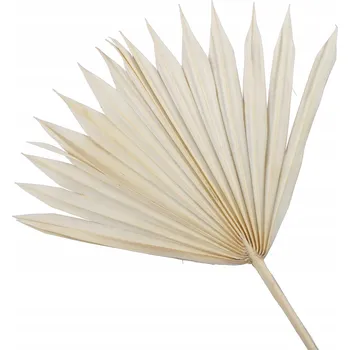 umělá květina PALMOVÝ LIST SUŠENÝ Bílý 1 ks 45 cm