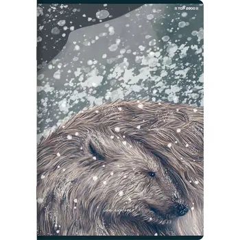 Sešit Sešit A5 s mřížkou TOP-2000, 80 listů