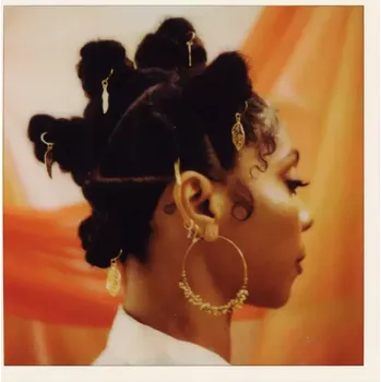 Zahraniční hudba Cook Hollie: Shy Girl - CD