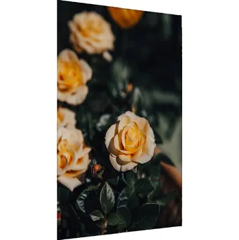 Obraz Plakát v rámu Žluté RŮŽE Květy 3D efekt 70x100