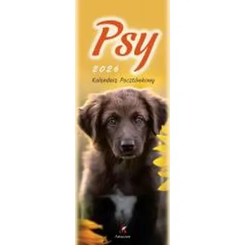 Kalendář Kalendarz 2026 pocztówkowy 12,5x33cm Psy