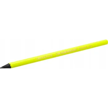 Grafitová tužka Tradiční tužka BIC HB 1 ks