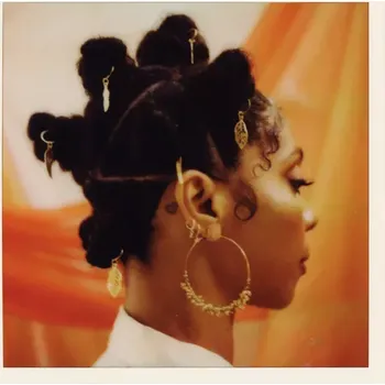 Zahraniční hudba Cook Hollie: Shy Girl - Vinyl (LP)