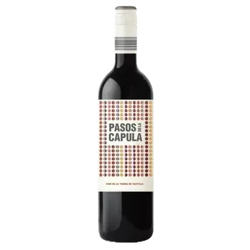 Víno Abanico Pasos de la Capula Syrah BIO 2021