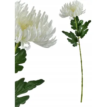 Obraz Elegantní větvička chryzantémy VIRIDIS, 70 cm, bílá